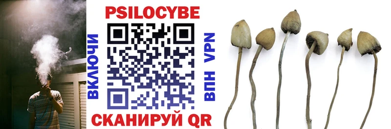 Псилоцибиновые грибы мухоморы  Купить  Лабинск 