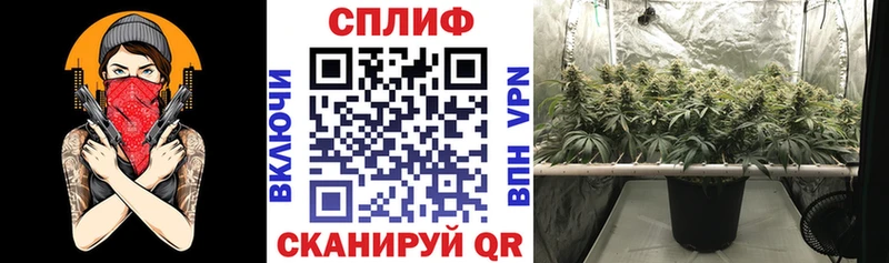 Бошки Шишки SATIVA & INDICA  Купить закладки  Лабинск 